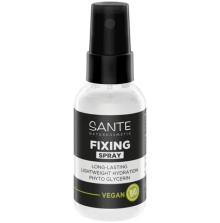 Fixing Spray