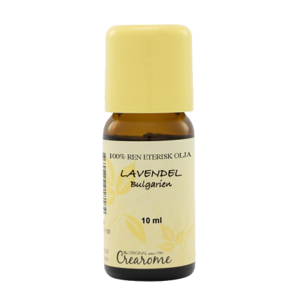 Lavendel bulgarien